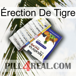 Érection De Tigre 11
